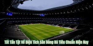 dien tich san bong da