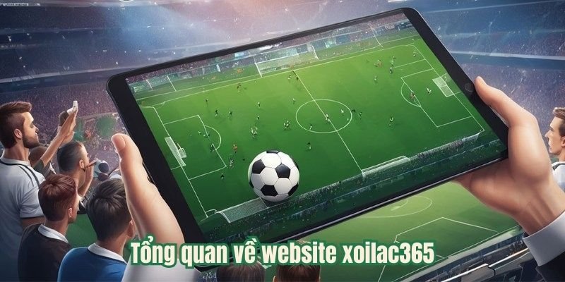 Tổng quan về website xoilac365